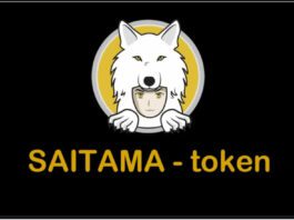 image for Saitama wallet
