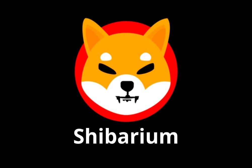 Shiba Inu's On Going Project