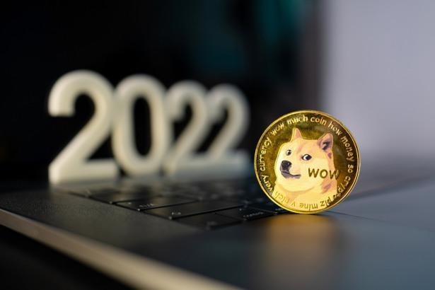 Dogecoin Addresses Status 2022, Credit: Yahoo Finance