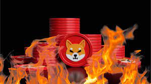 Shiba Inu rising