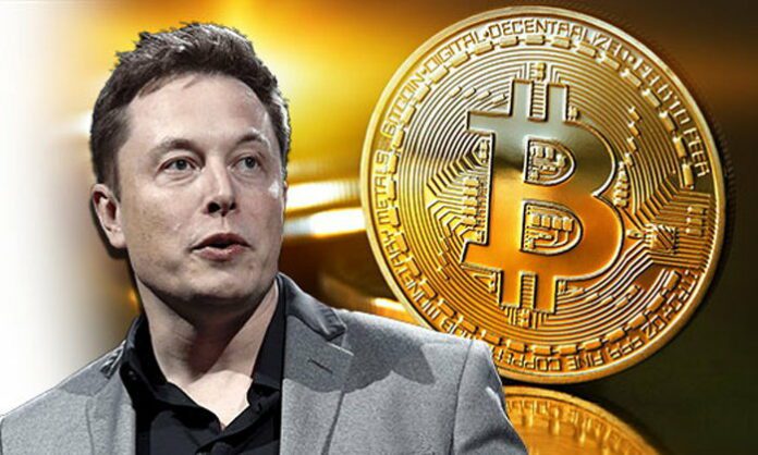 Elon Musk on Bitcoin, Credit: Altcoin Buzz