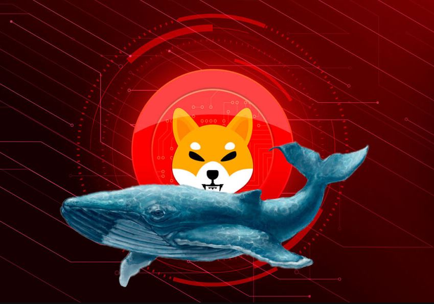Shiba Inu Whale Analysis, Credit: The Crypto Basic