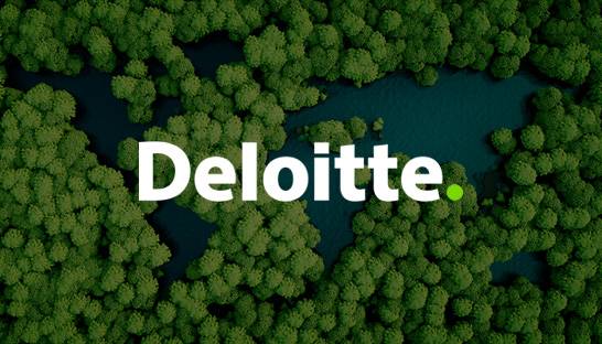 Deloitte, Credit: Consultingus