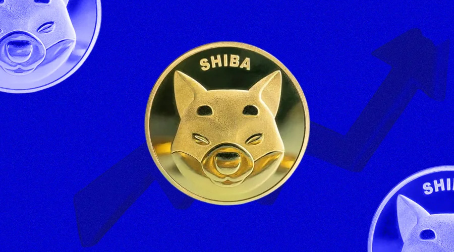 Shiba Inu 