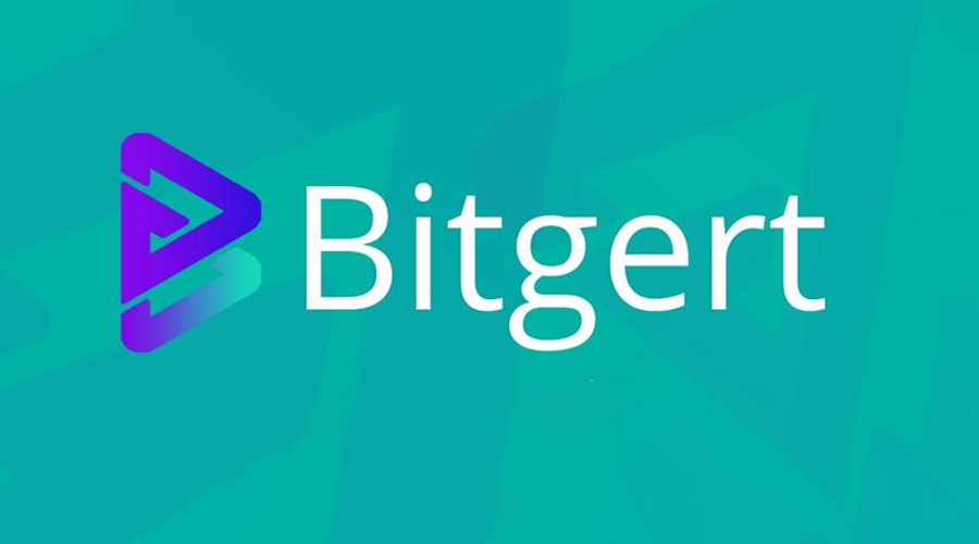 Bitgert might have to compete with Tesla