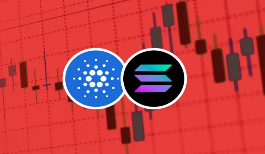 Solana and Cardano looking up to a good week