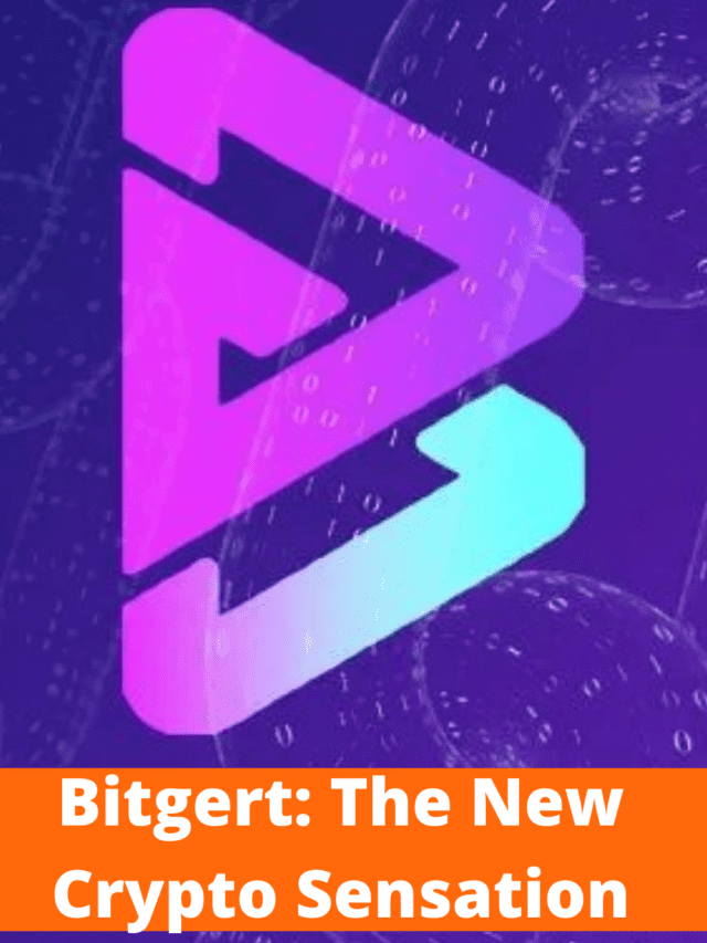 Bitgert: The New Crypto Sensation