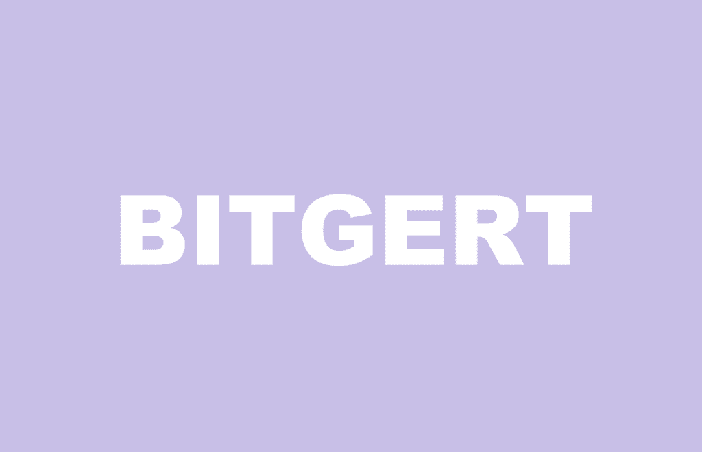 Bitgert Paybrise