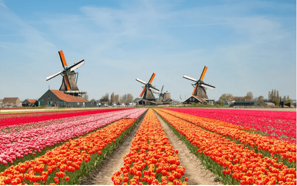 Netherlands is well suited for metaverse